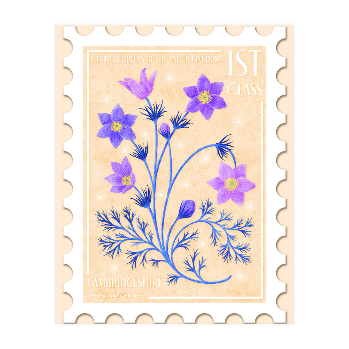 The Cambridgeshire Pasqueflower Postage Stamp (Print Only)