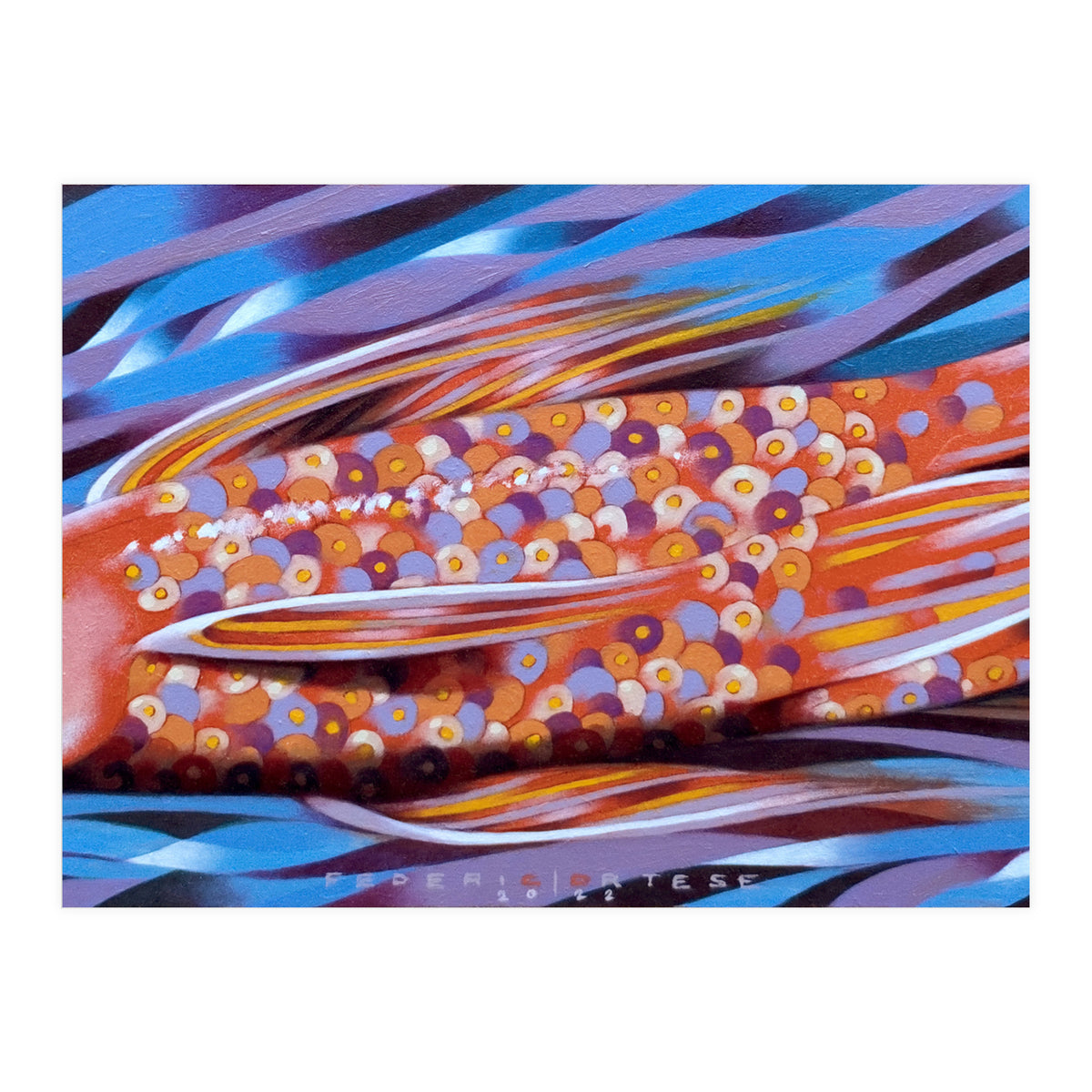 Little fish (Print Only)