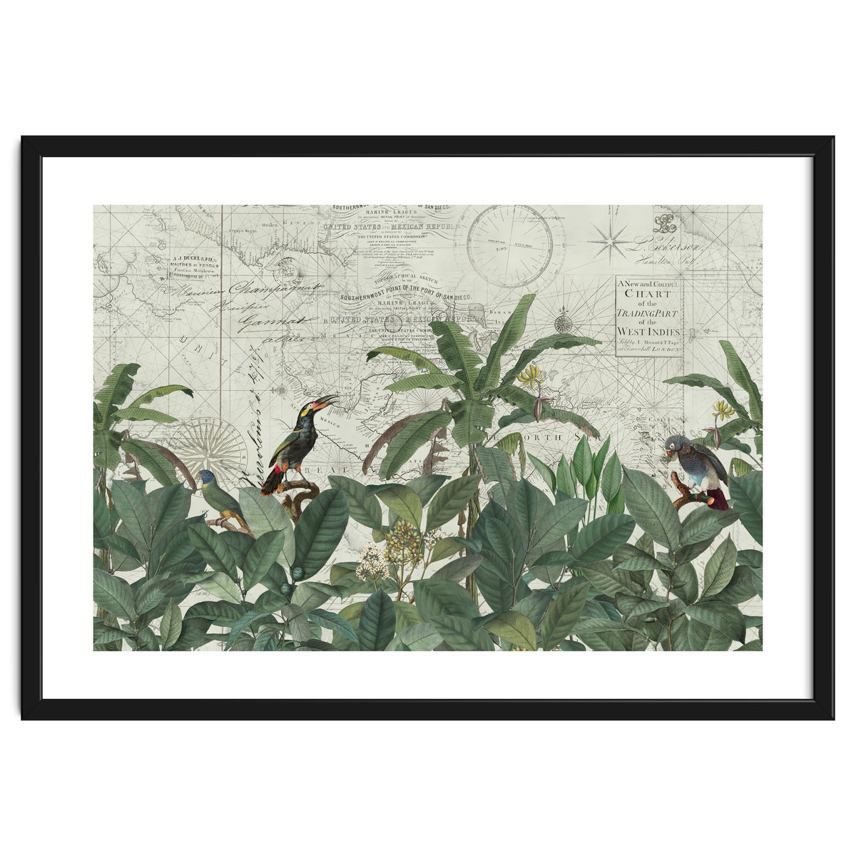 Explore The New World