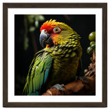 Vibrant Macaw Parrot thumbnail