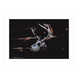 Deer Skull (Print Only) thumbnail