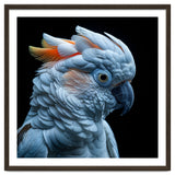 Close Up Of A Cockatoo Parrot Head thumbnail