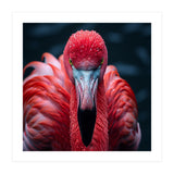 Close Up Flamingo Face With Water Droplets (Print Only) thumbnail