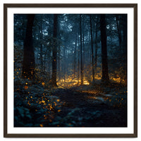 Enchanted Midnight Forest with Glowing Fireflies