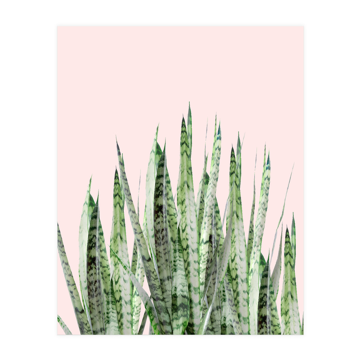 Botanical Balance (Print Only)