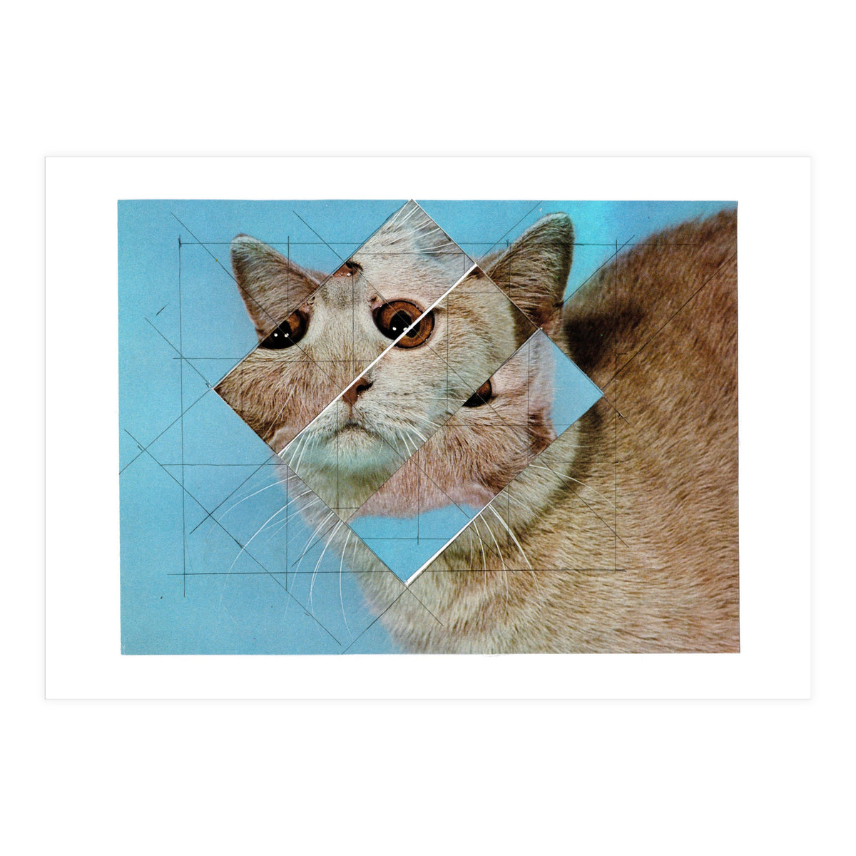 The Depressive Cat Am Abend Bekommt Den Blues (Print Only)