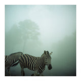 Silence of breath - 16 (Print Only) thumbnail