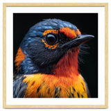 Vibrant Bird With Orange And Blue Plumage thumbnail