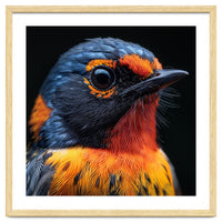 Vibrant Bird With Orange And Blue Plumage