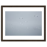 Flying seagulls in the winter sky thumbnail