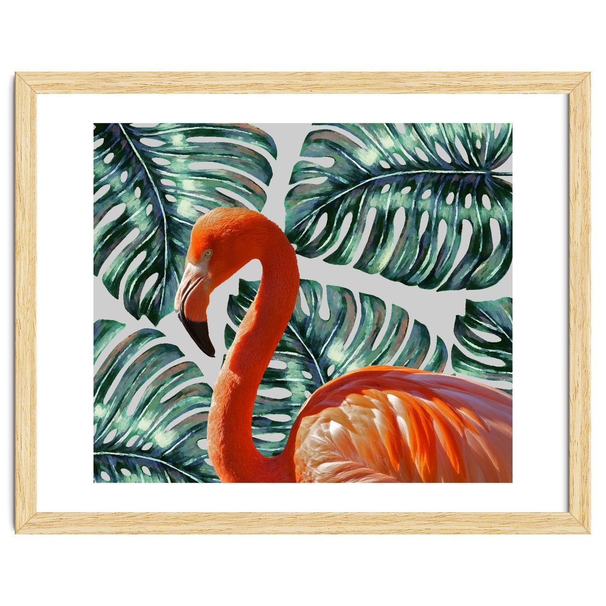 Flamingo Self Portrait