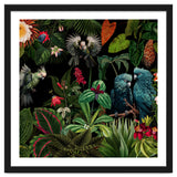 Moody Botanical Midnight Jungle Birds thumbnail