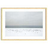 Seagulls in the winter snow beach thumbnail
