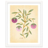 Vintage Fruits thumbnail