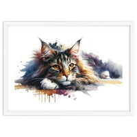 Maine Coon Resting Portrait