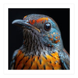 Close Up Of A Colorful Exotic Bird Head (Print Only) thumbnail