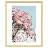 Spring Time thumbnail