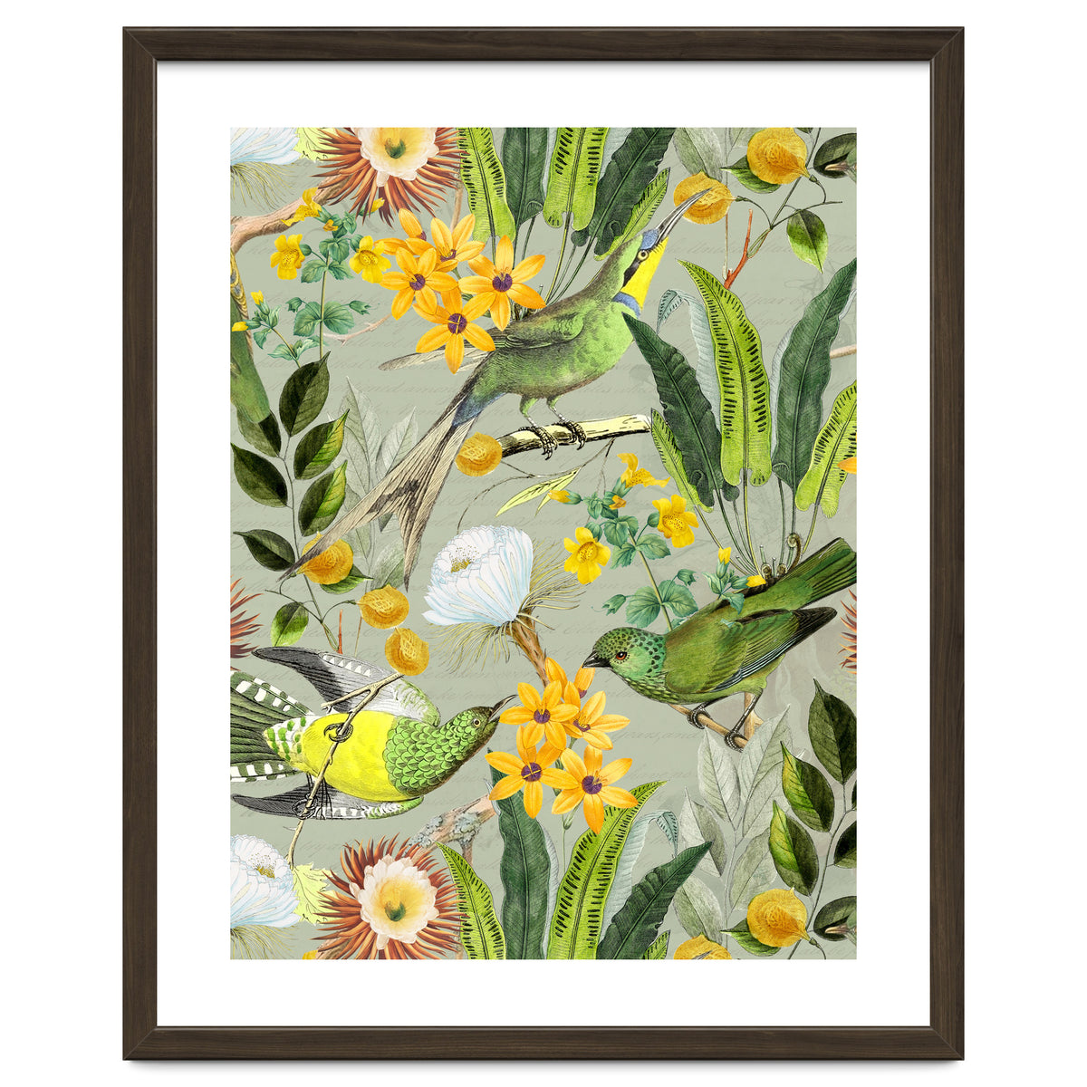 Tropical Birds in Exotic Jungle