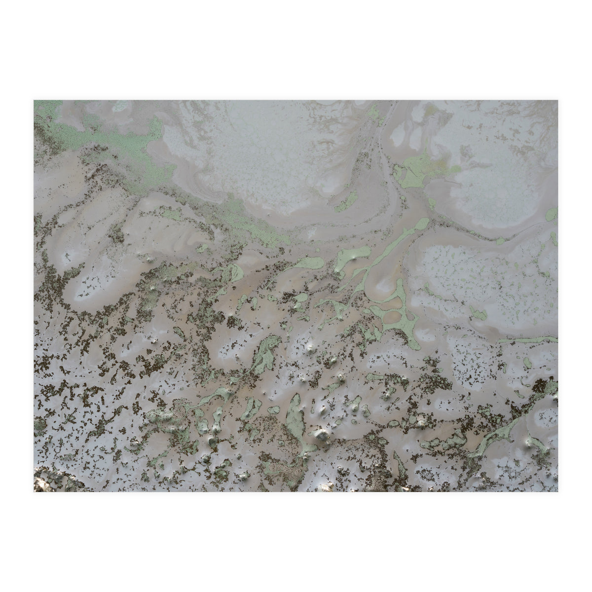 Life And Souls (Print Only)