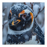 Penguin In Snow Falling Close Up Portrait (Print Only) thumbnail