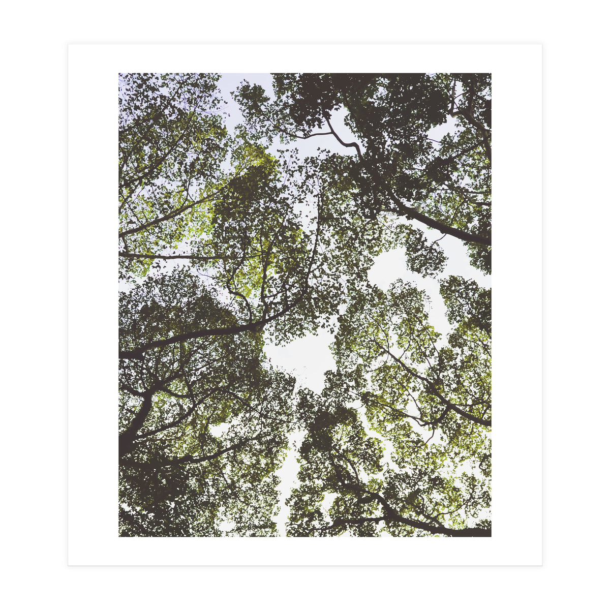 Mother Nature (Print Only)