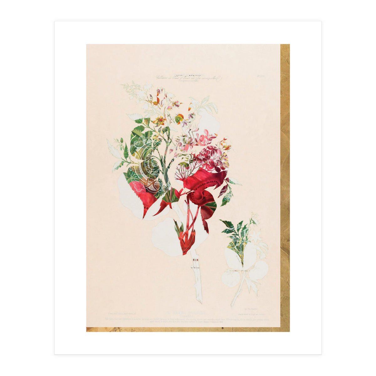 The First Plant · Aufbluehen (Print Only)