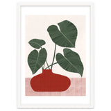 Philodendron Gloriosum plant thumbnail