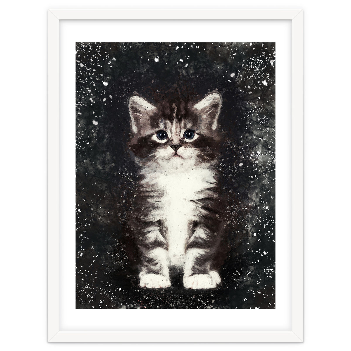 Bicolor Cute Kitten Portrait