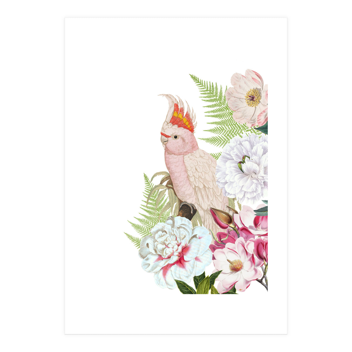Cockatoo in Flower Jungle  (Print Only)
