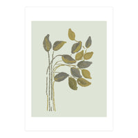 Olivia muted botanical oils (Print Only)