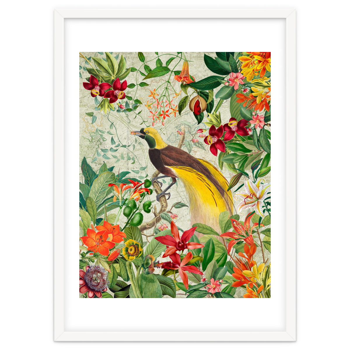 Bird of paradise vintage jungle