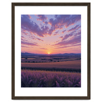 Serene Lavender Fields at Golden Hour Sunset