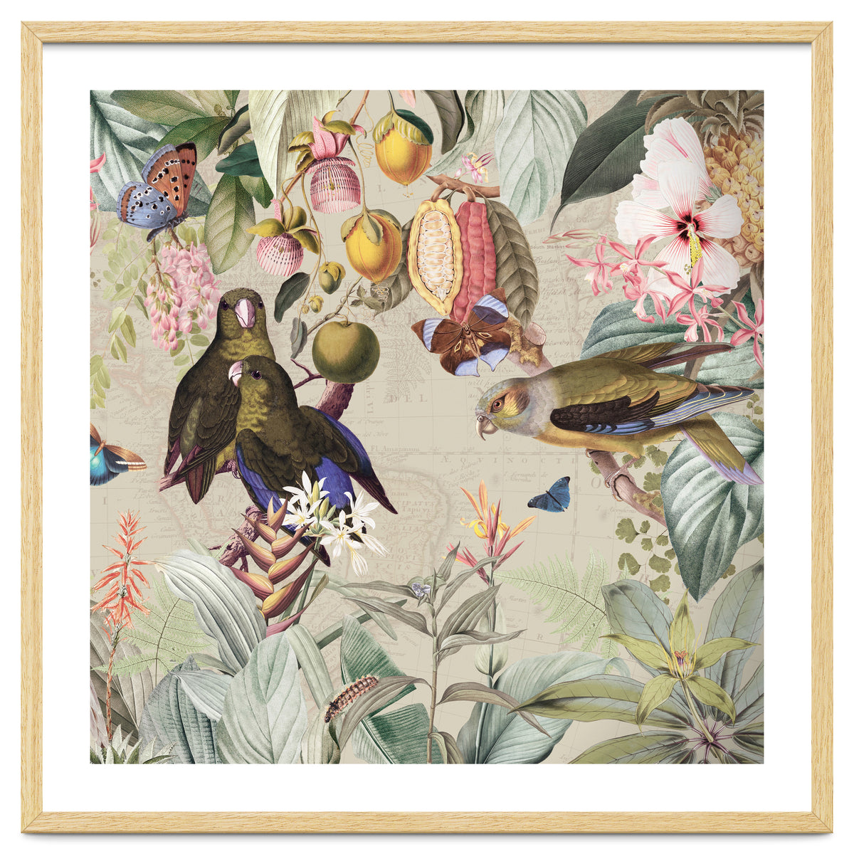 Colorful Parrots And Butterflies In Flower And Fruit Tropical Jungle