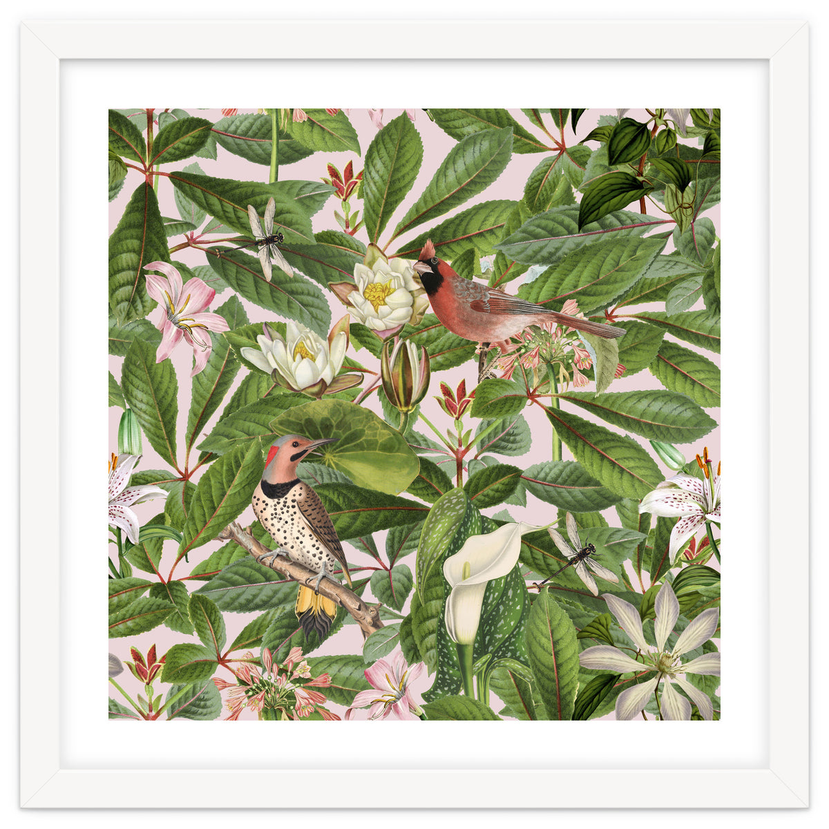 Tropical Bird Garden