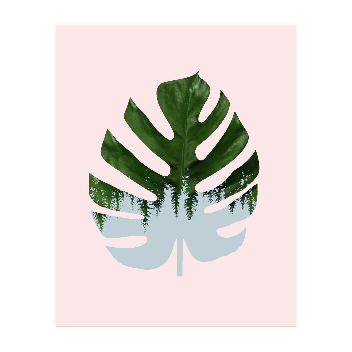 Monstera (Print Only)