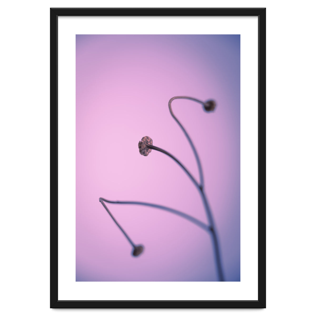 In light of current events VI