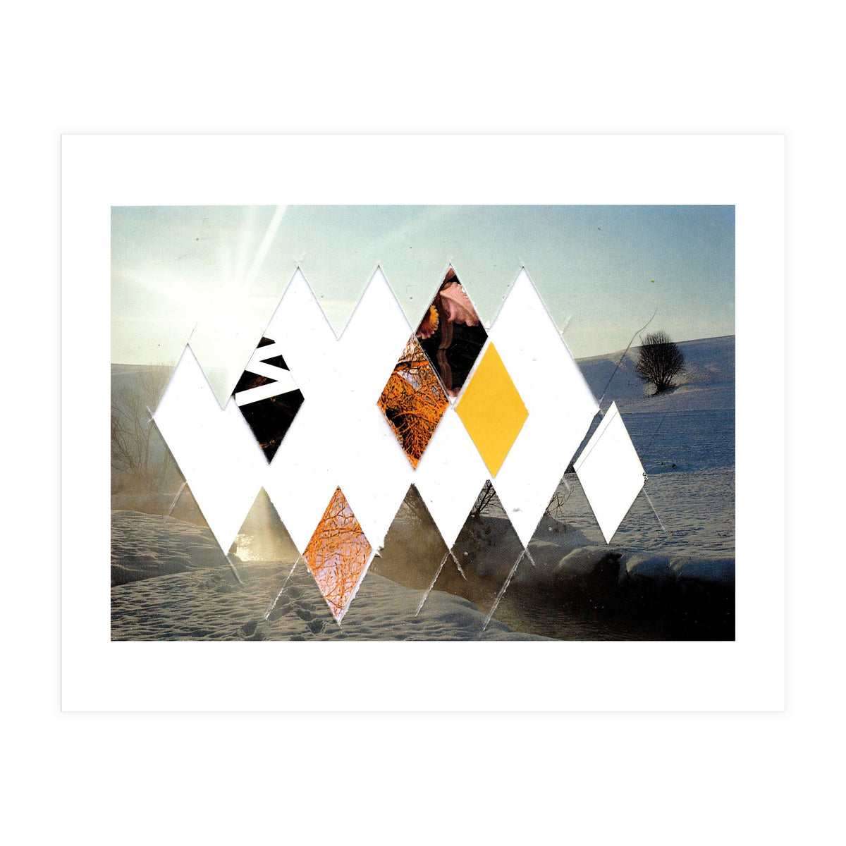 Fragmented · Botschaft Der Pappen??? · Winterimpressionlooklike (Print Only)