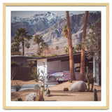 Palm Springs Pink II thumbnail