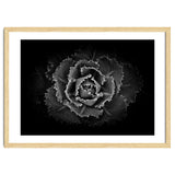 Backyard Flowers In Black And White No 101 thumbnail