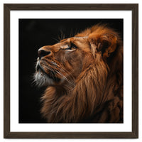 Majestic Lion Portrait Profile Majestic Beast