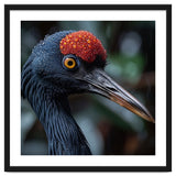 Black Crane Bird Head With Red Crown And Raindrops thumbnail