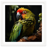 Vibrant Macaw Parrot thumbnail