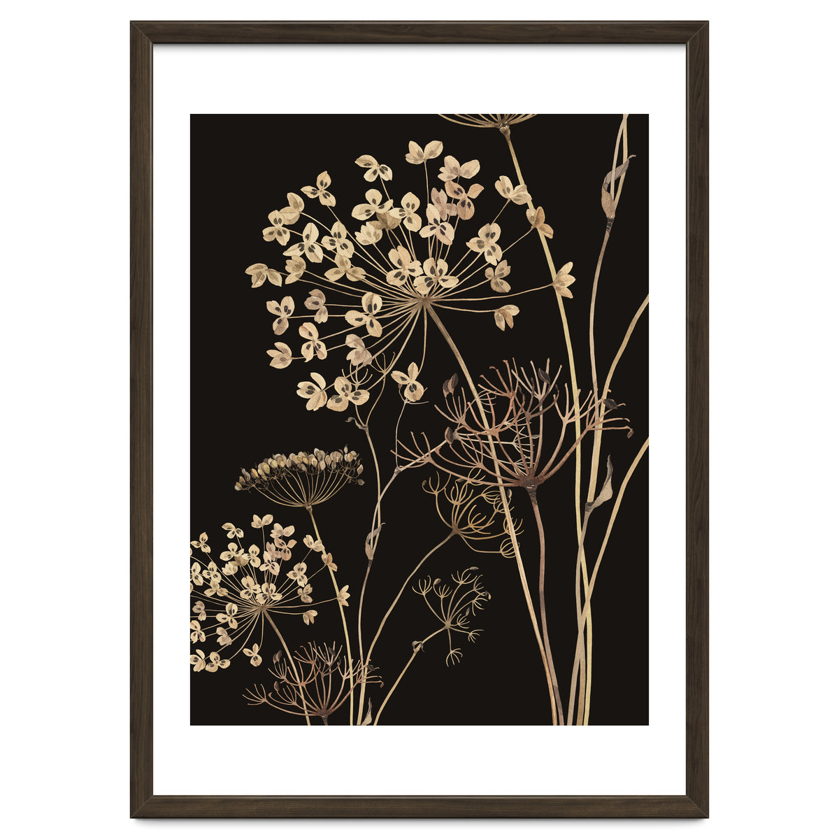 Wildflowers I