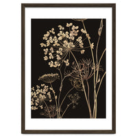 Wildflowers I
