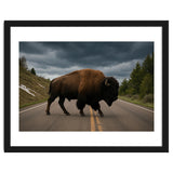 Bison on the Road , Yellowstone Wildlife Photography thumbnail