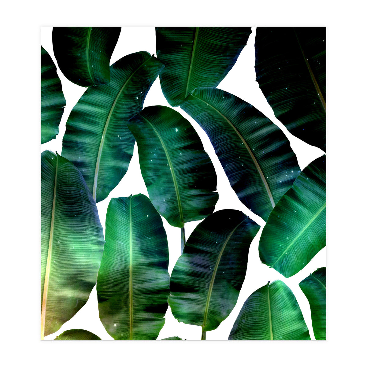 Cosmic Banana Leaves (Print Only)