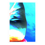 Aqua Fire |  Sea Wall (Print Only) thumbnail