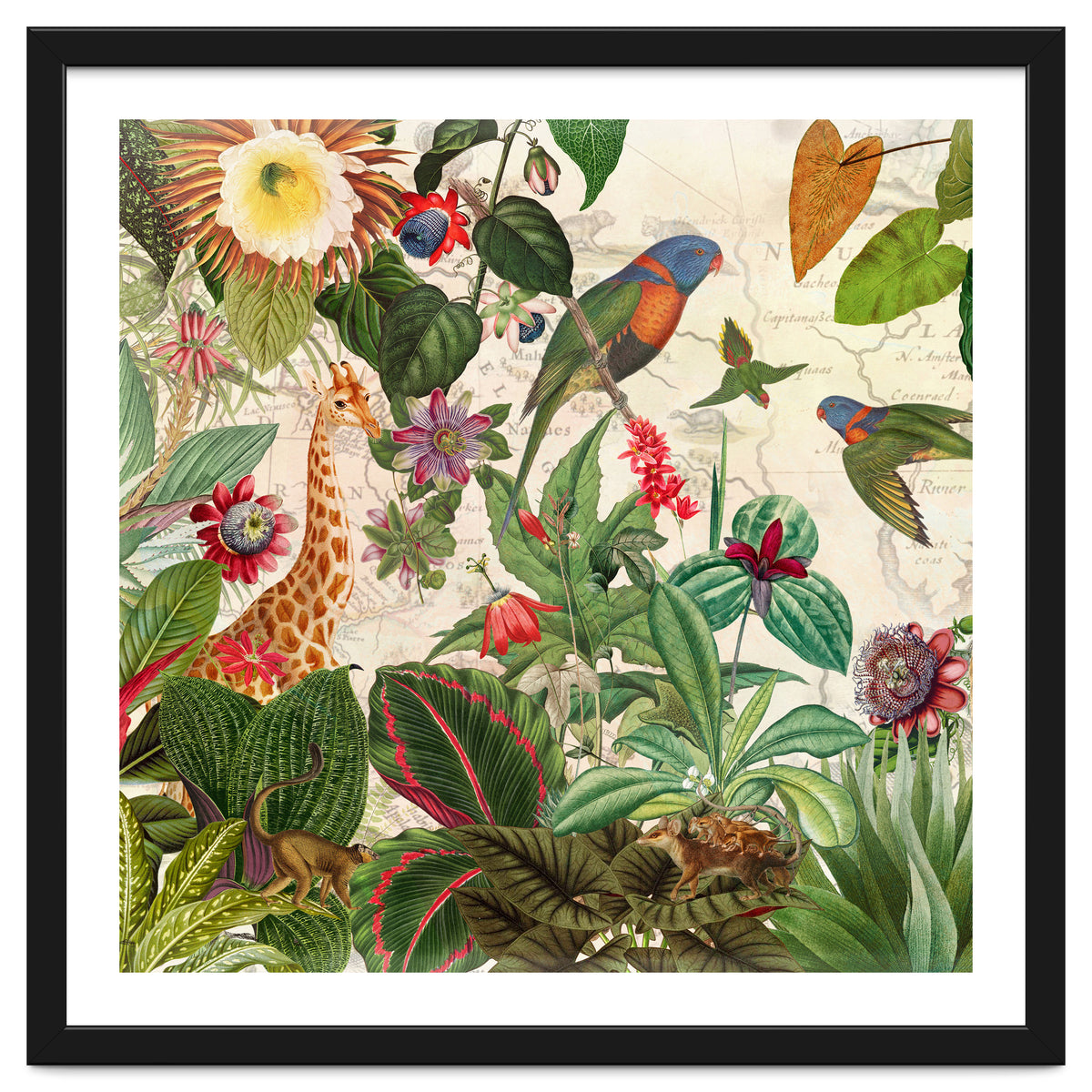 Exotic Lush Jungle And Wild Animals Landscape