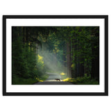 Wolf in the Netherlands thumbnail
