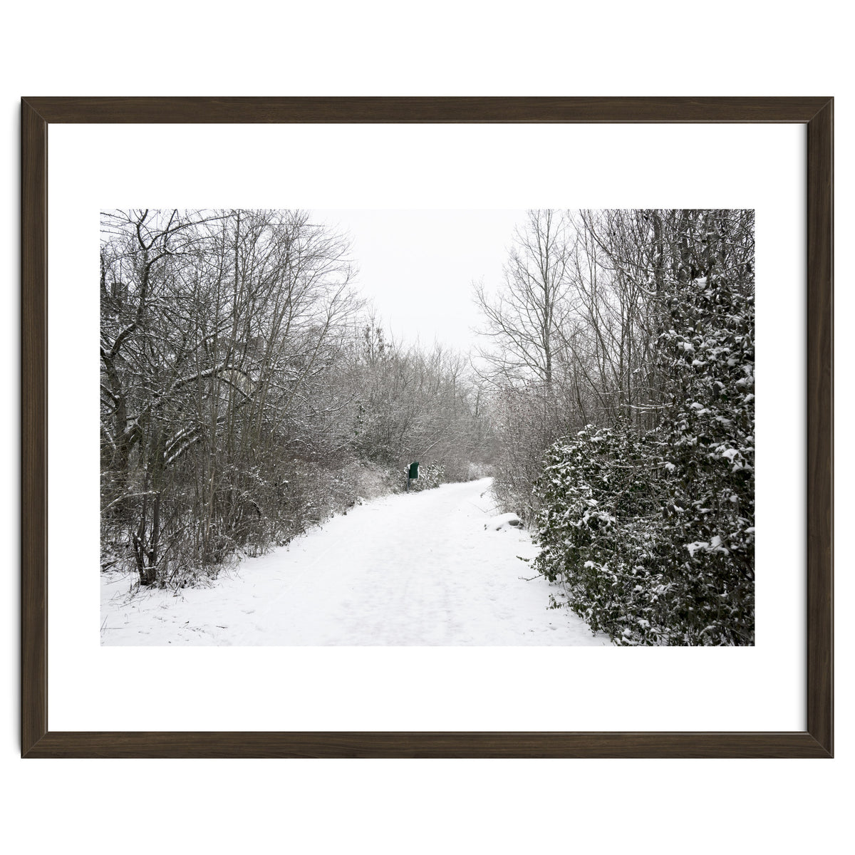 Walking through the snow park